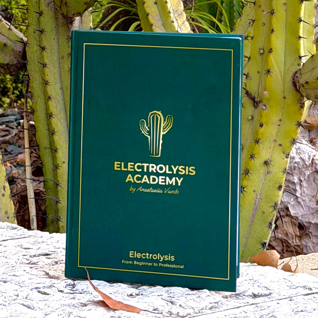 The Complete Electrolysis eBook — A to Z